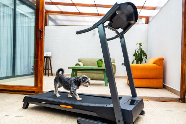 Treadmill Installation Service