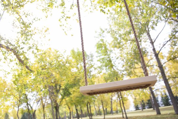 Tree Swing Installation Service