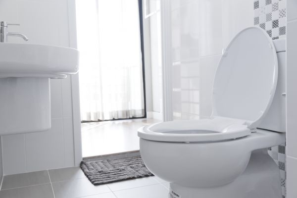 Toilet Seat Installation Service