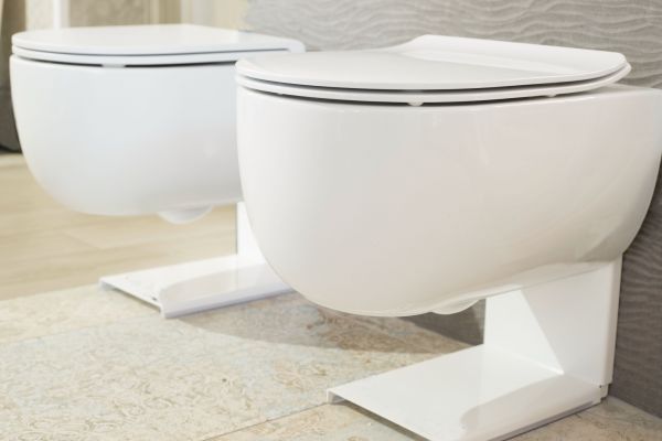 Toilet Seat Assembly