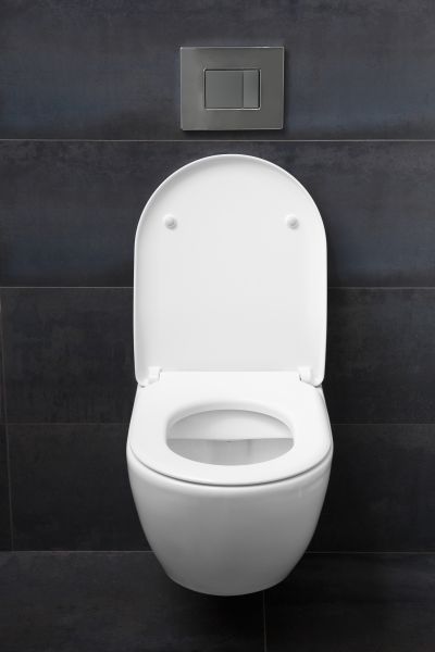 Toilet Lid Installation Service