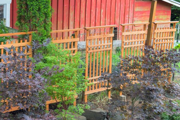 Wood Trellis Mounting in Walnut Creek