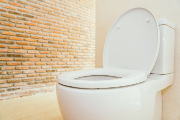 Toilet Seat Repair Service